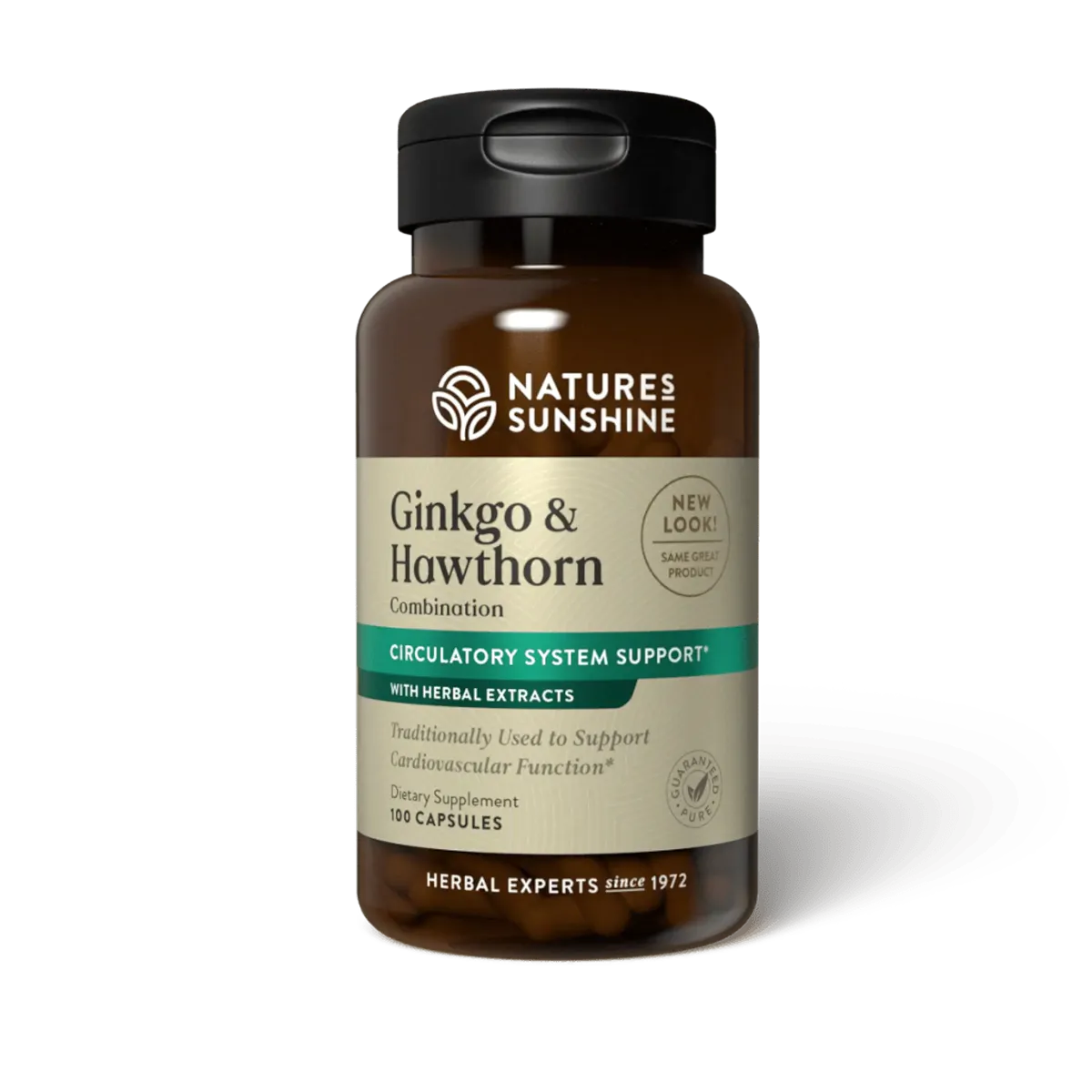 Гинкго и боярышник