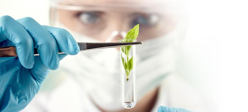 Качество продукции