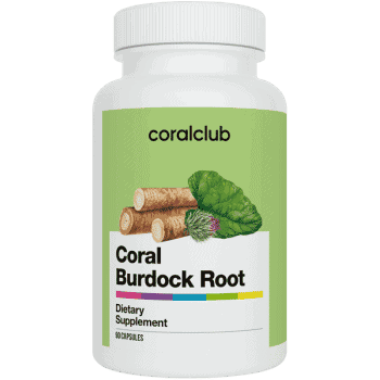 Coral Burdock Root