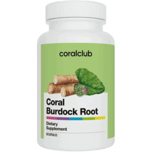 Coral Burdock Root