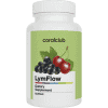 LymFlow